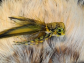 Frog Deer Hair Bass Bug